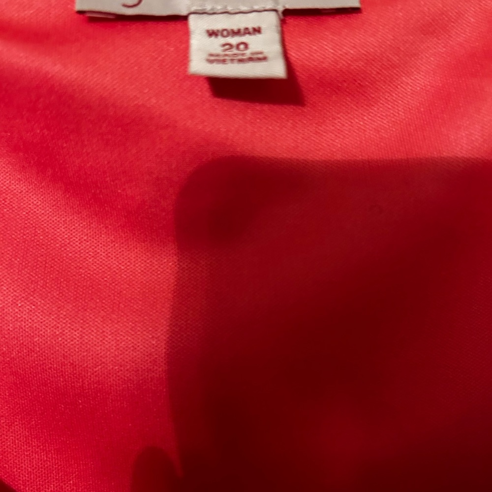 Gently Used Orange Lace Dress.